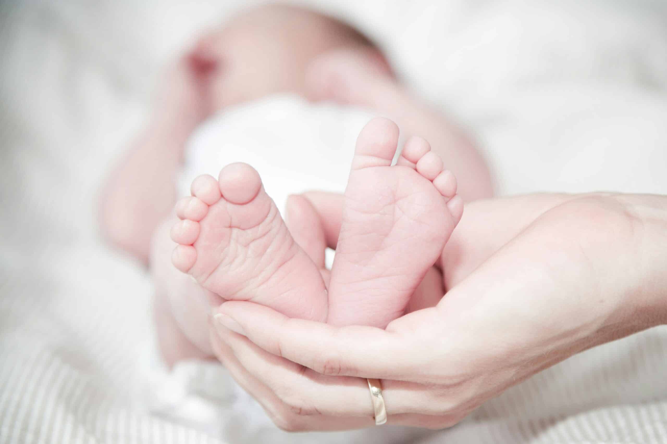NAATI certified birth certificate translation